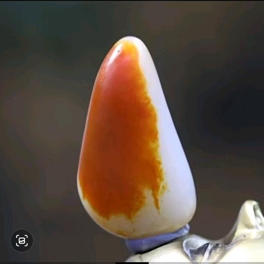 宝玉公馆（直播号）