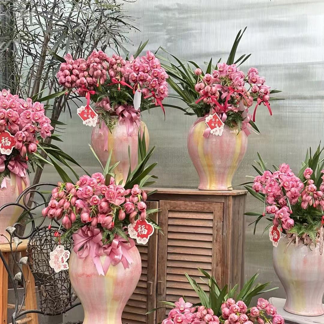 云花间 兰花基地