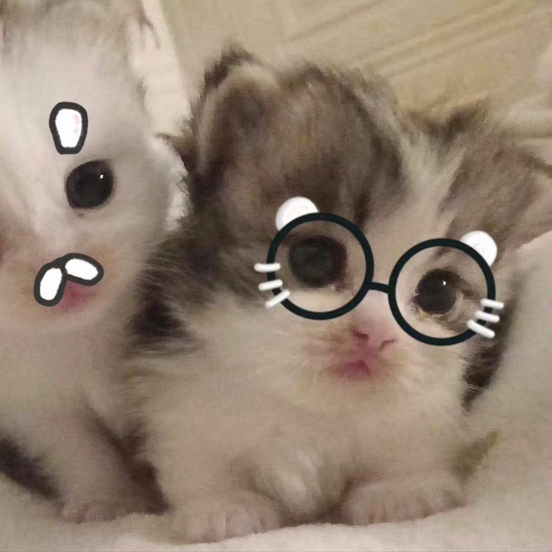 llllllllleeeeeE