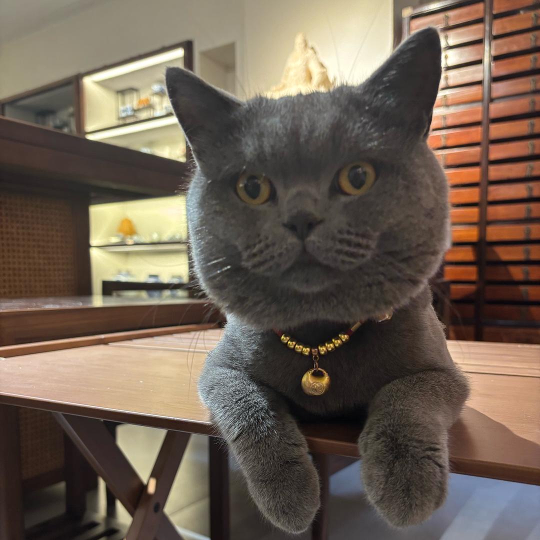 荣鑫汇电子商务-上进