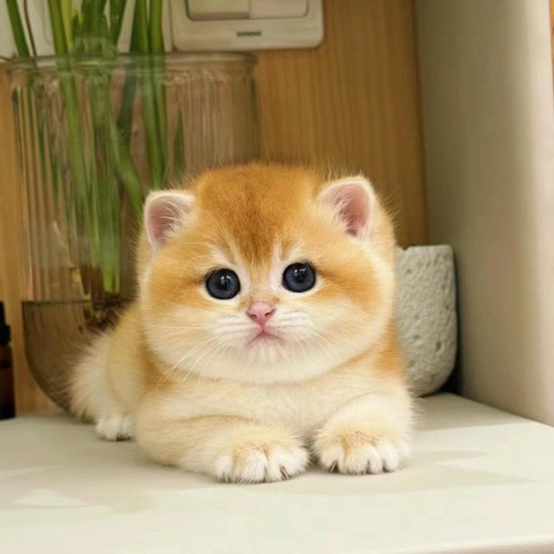 媚媚媚mmmmmm