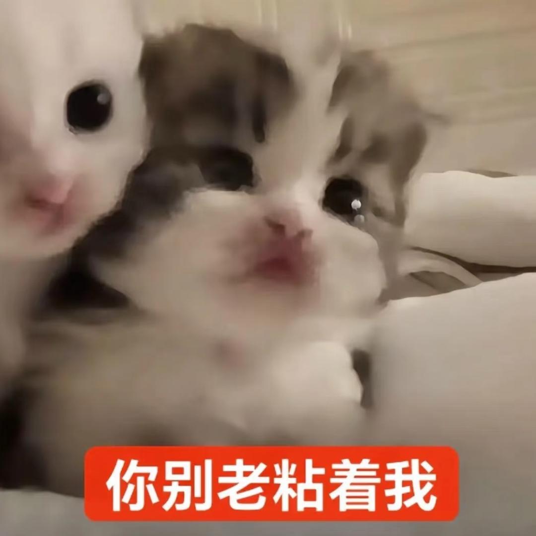 走开别碰我头发