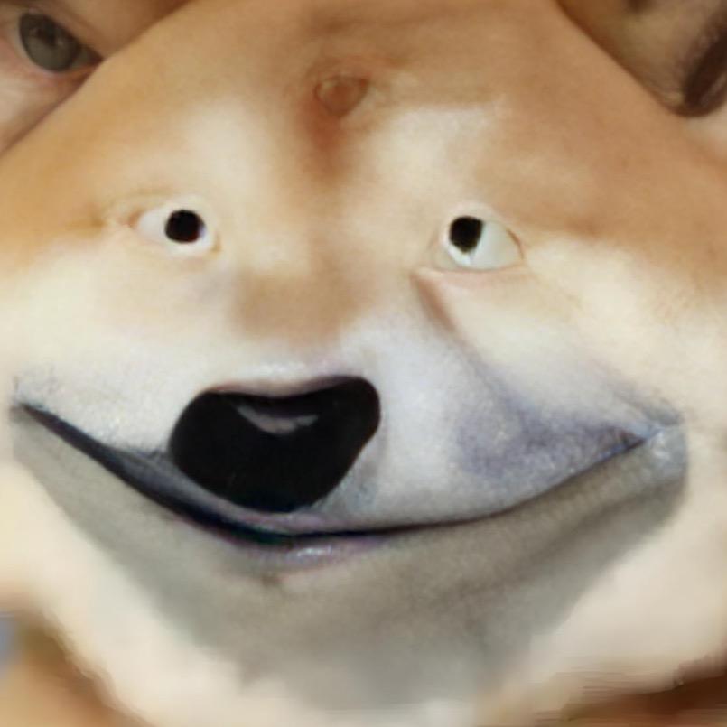 倚窗看明月