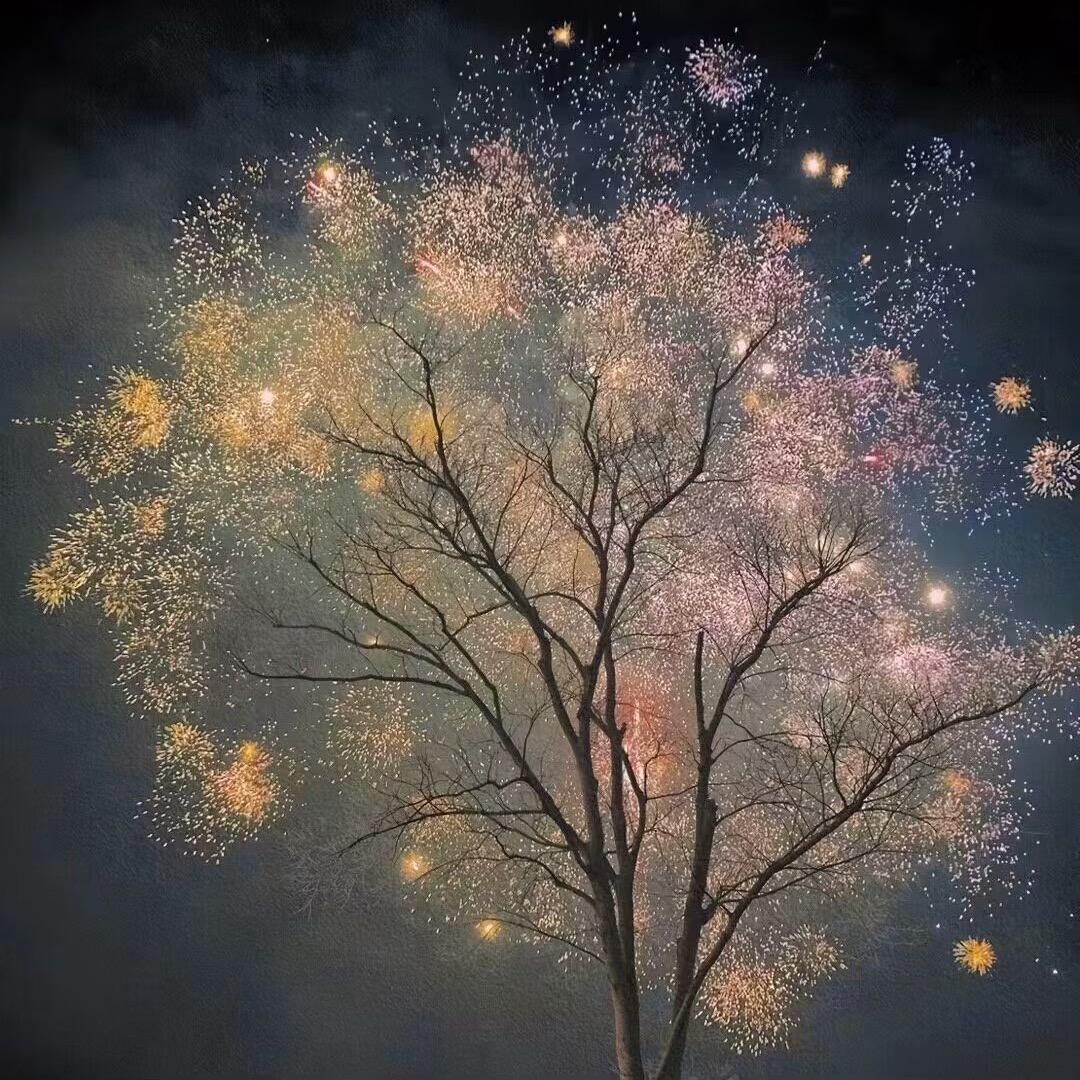 南猫