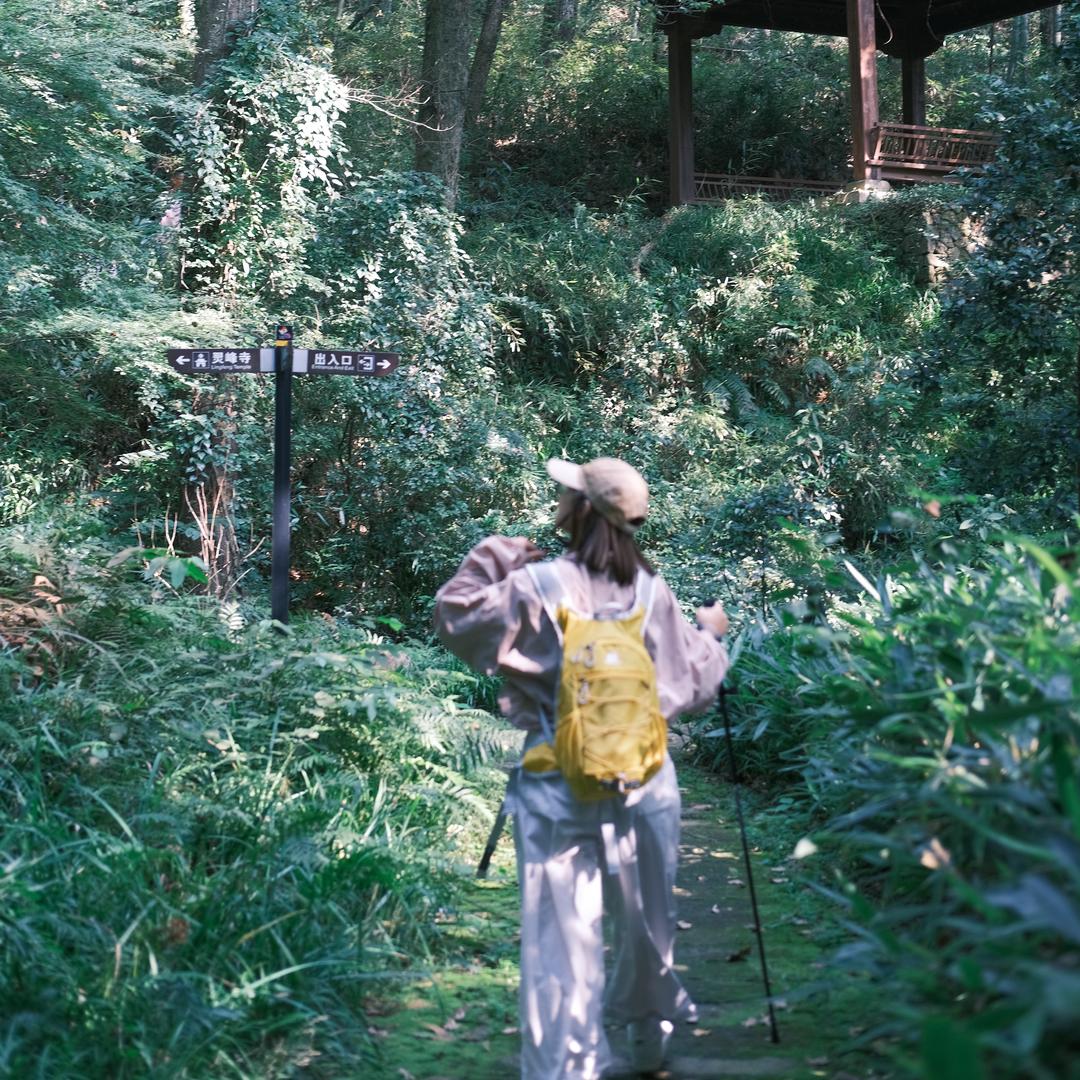 乐也「主理版」