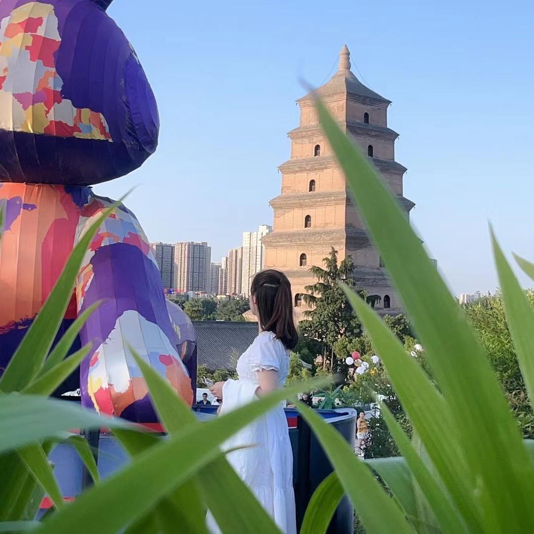 岁月静好YYY