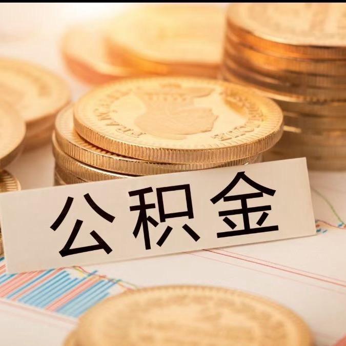 公积金研究所