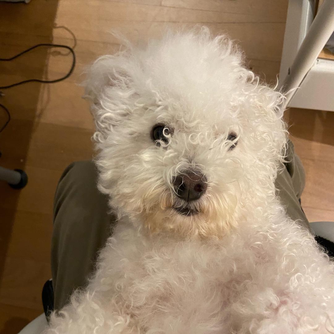 沛敏
