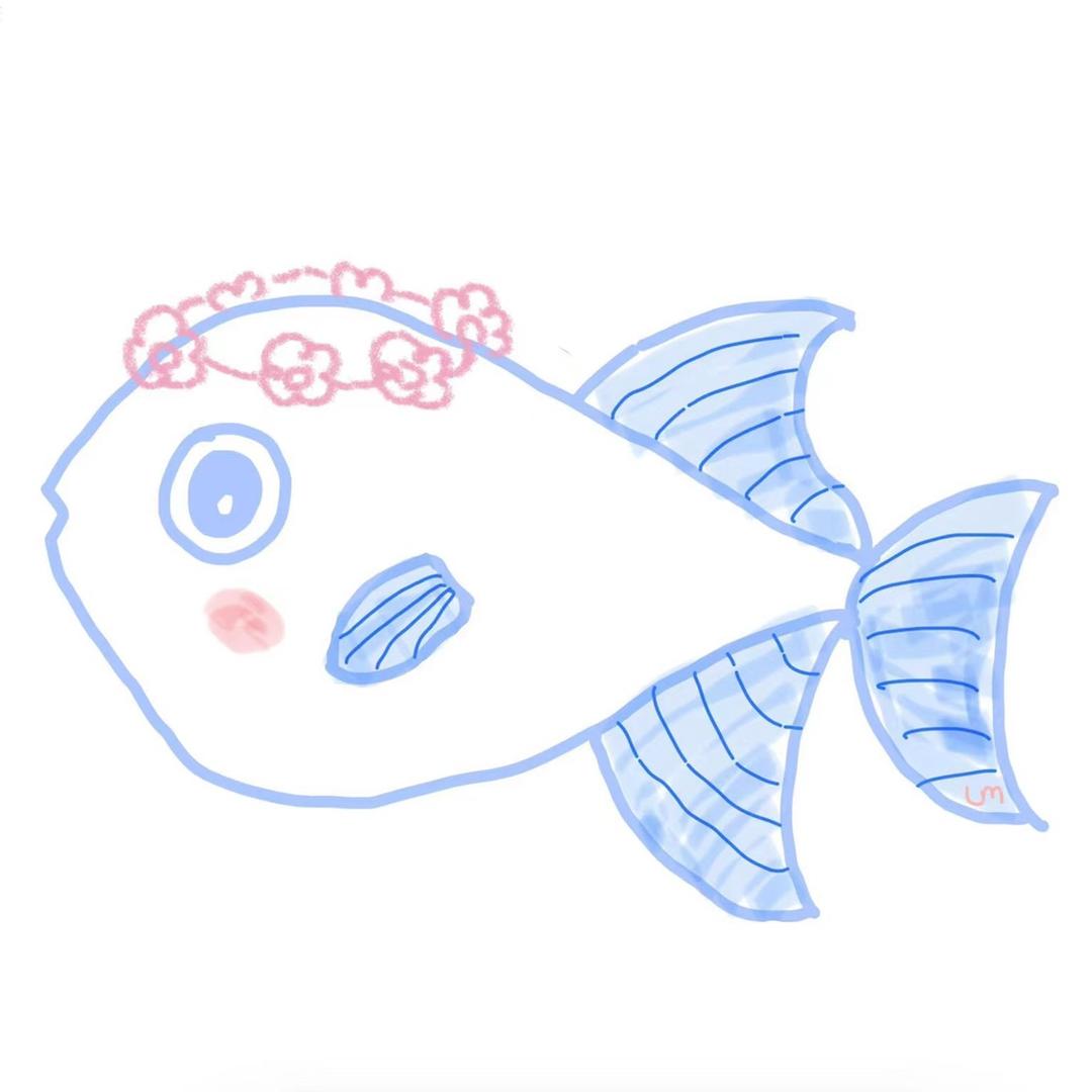 半条小鱼-清仓版