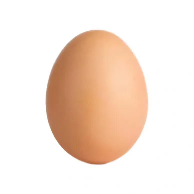 鸡蛋