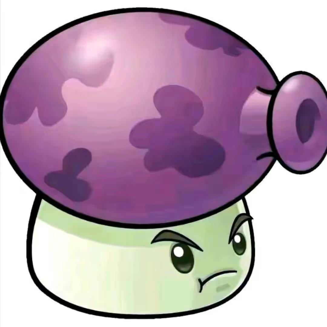 🟣🟣🟣🟣🟣🟣🟣
