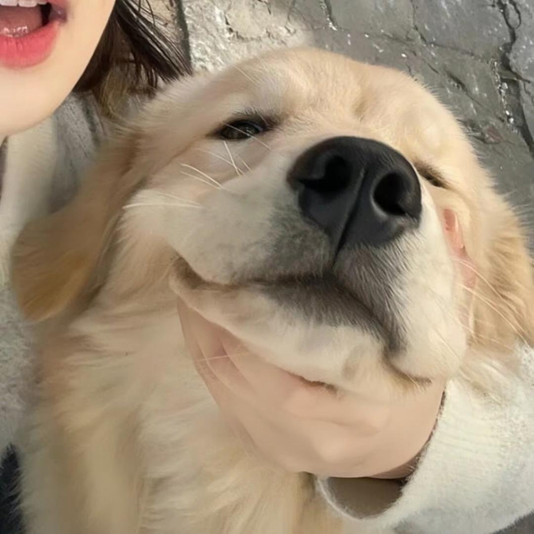 Jie