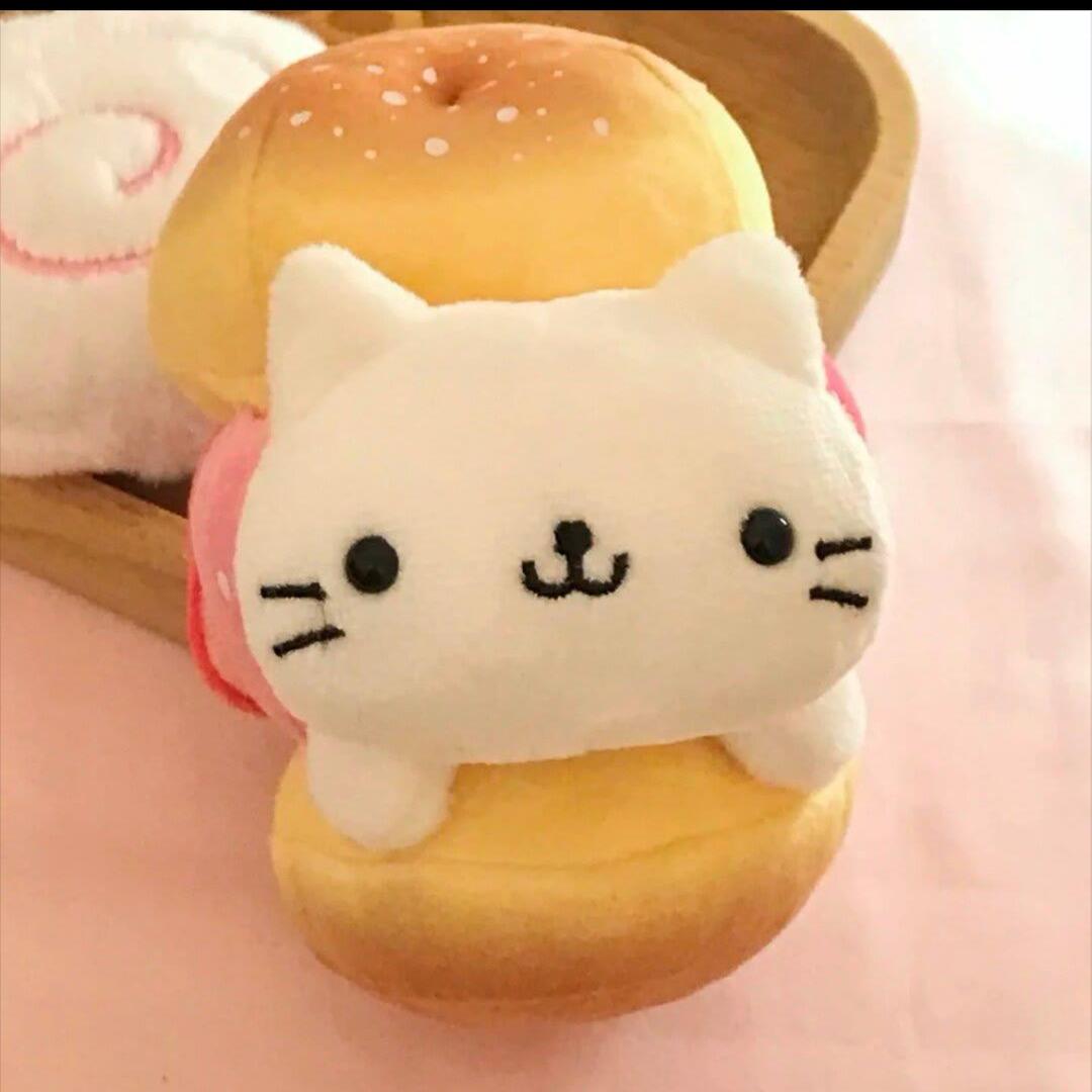 邪恶海豹òᆺó