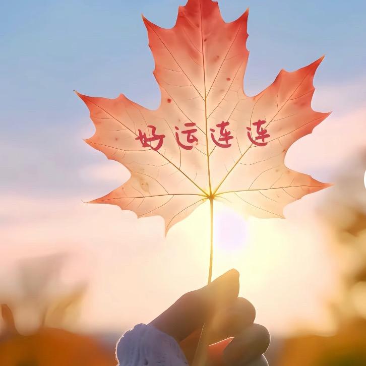 青柠🍀