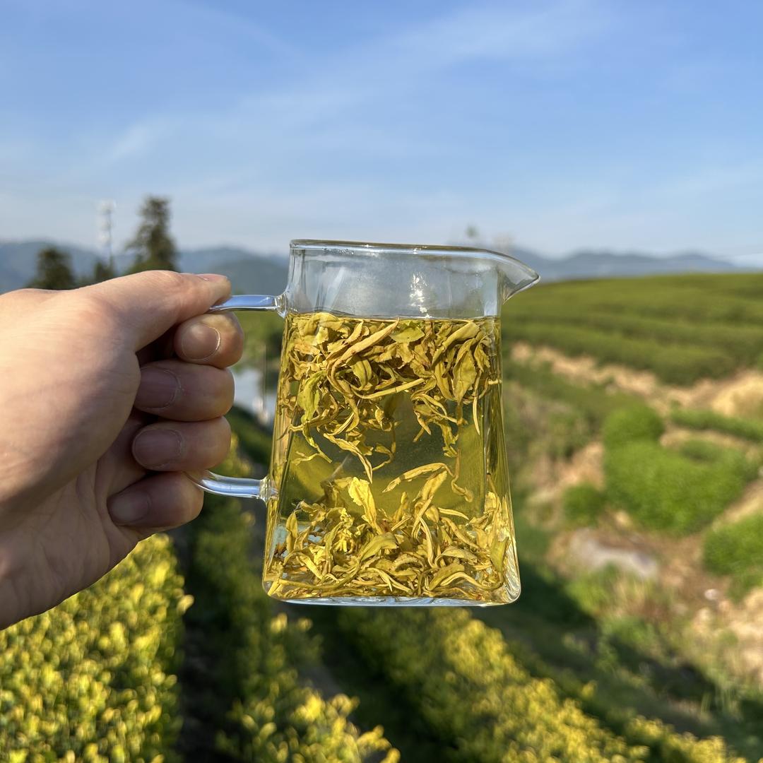 缘美园茶叶旗舰店