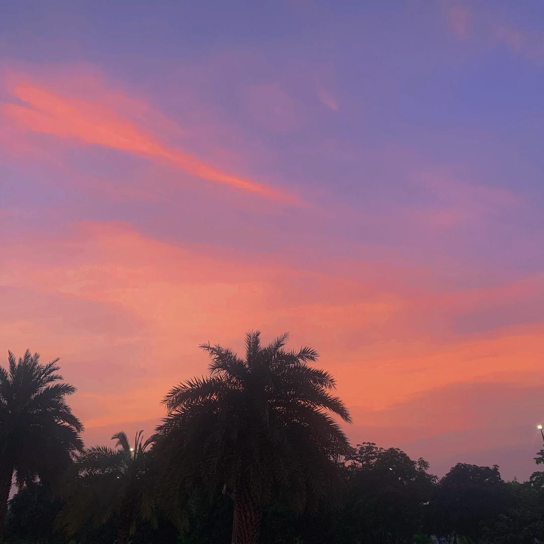 士多啤梨-🍓🍓🍓