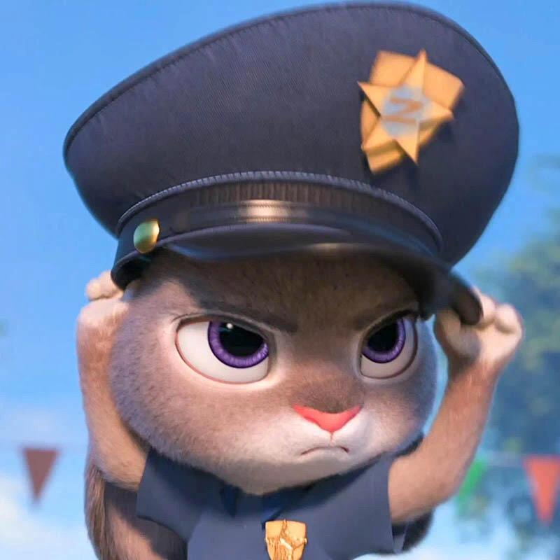 积极向上的小🐱