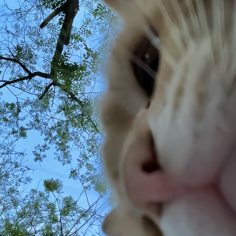 吃吃吃就知道吃