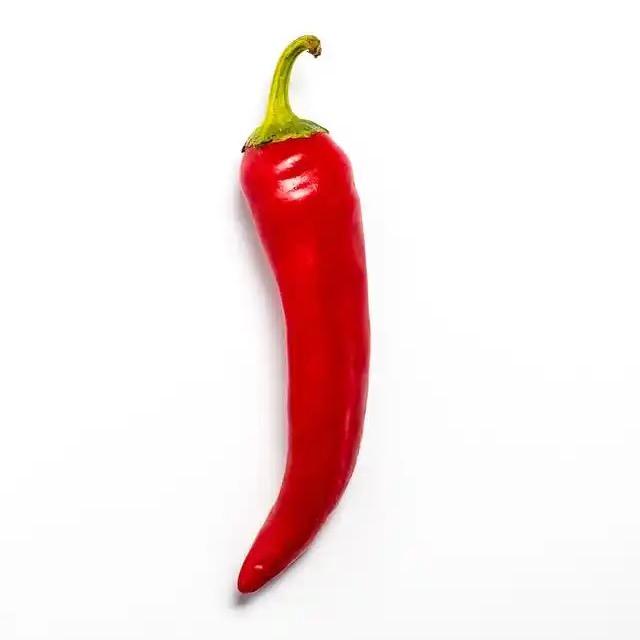 辣椒种苗培育基地🌶️