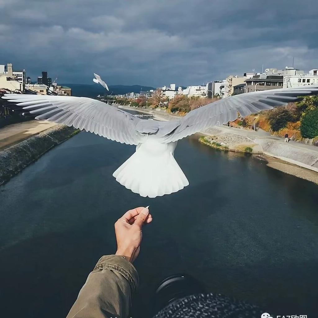 Haynar👁️‍🗨️