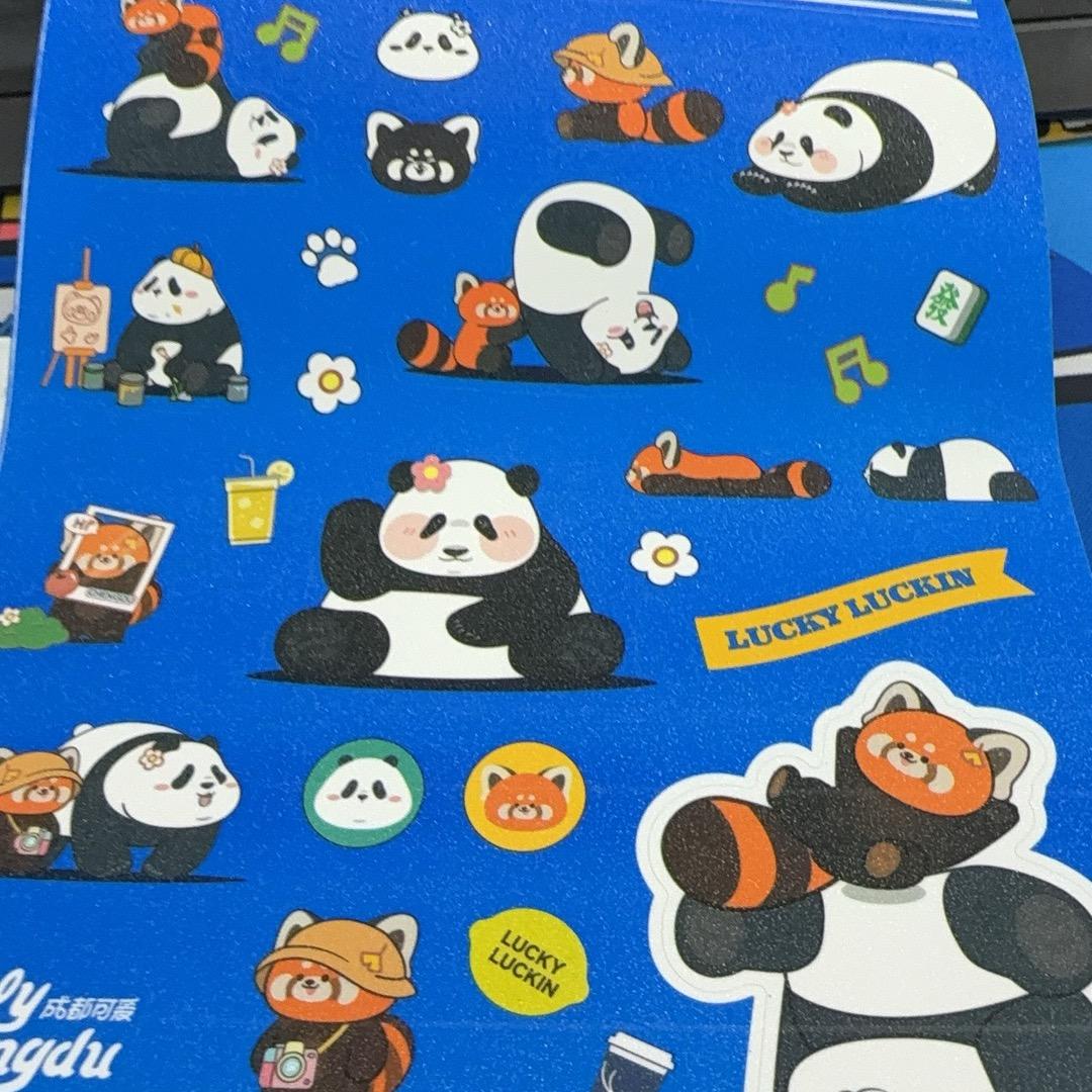 听风的蝉