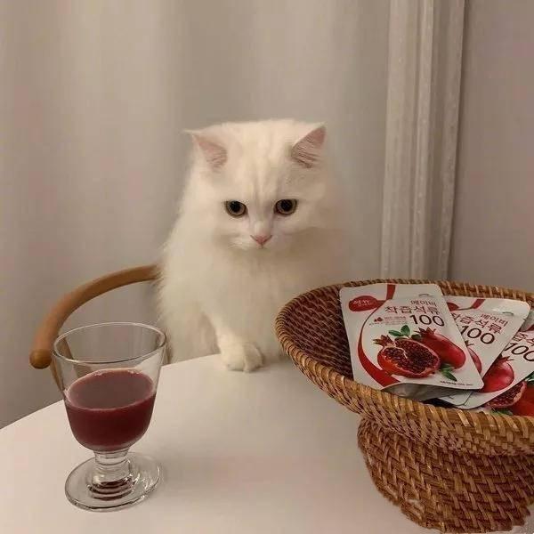 有趣 有盼