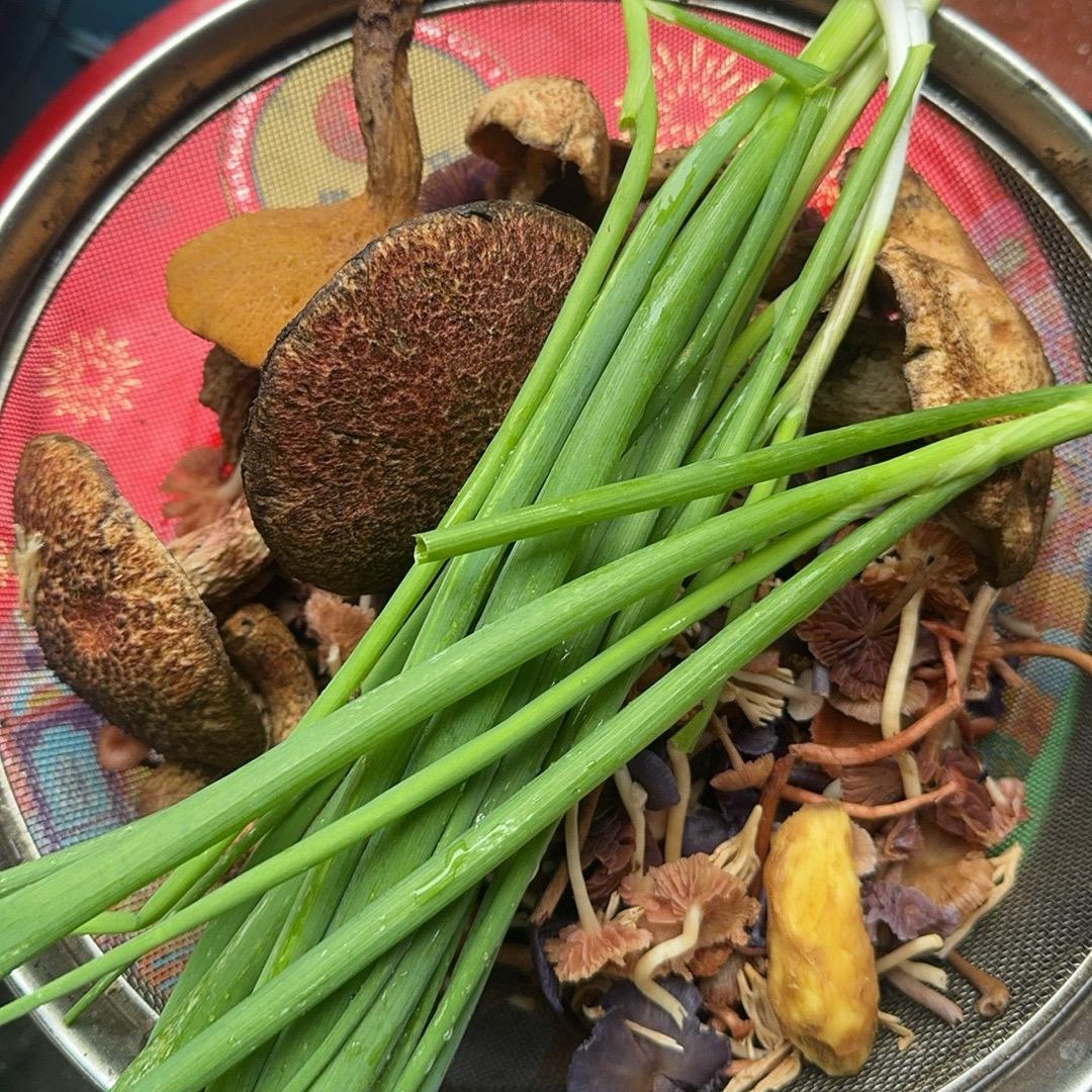 明哥梁品