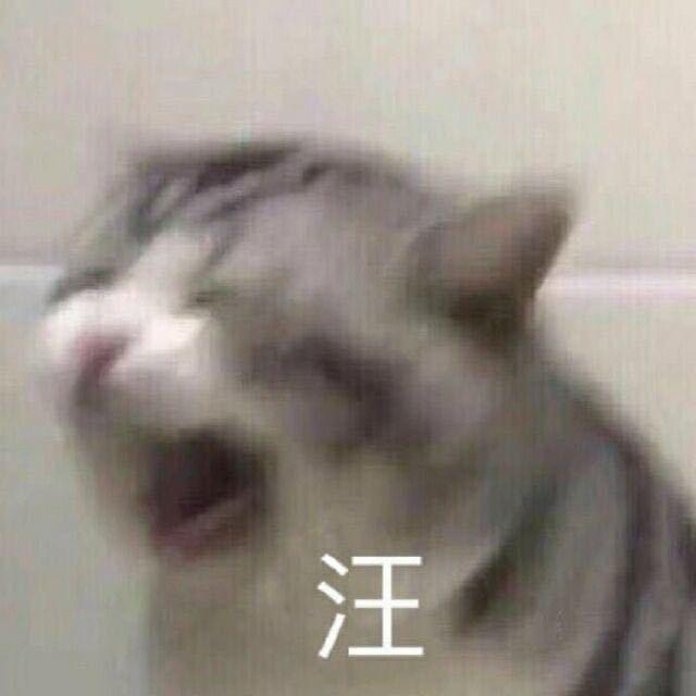 俄罗斯钓鱼4——暮雨丷