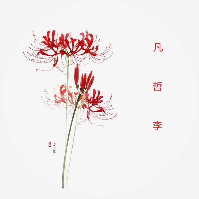 梦幻华凡哲李