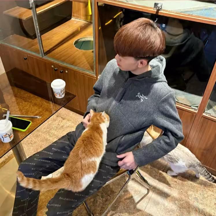 秋天优选