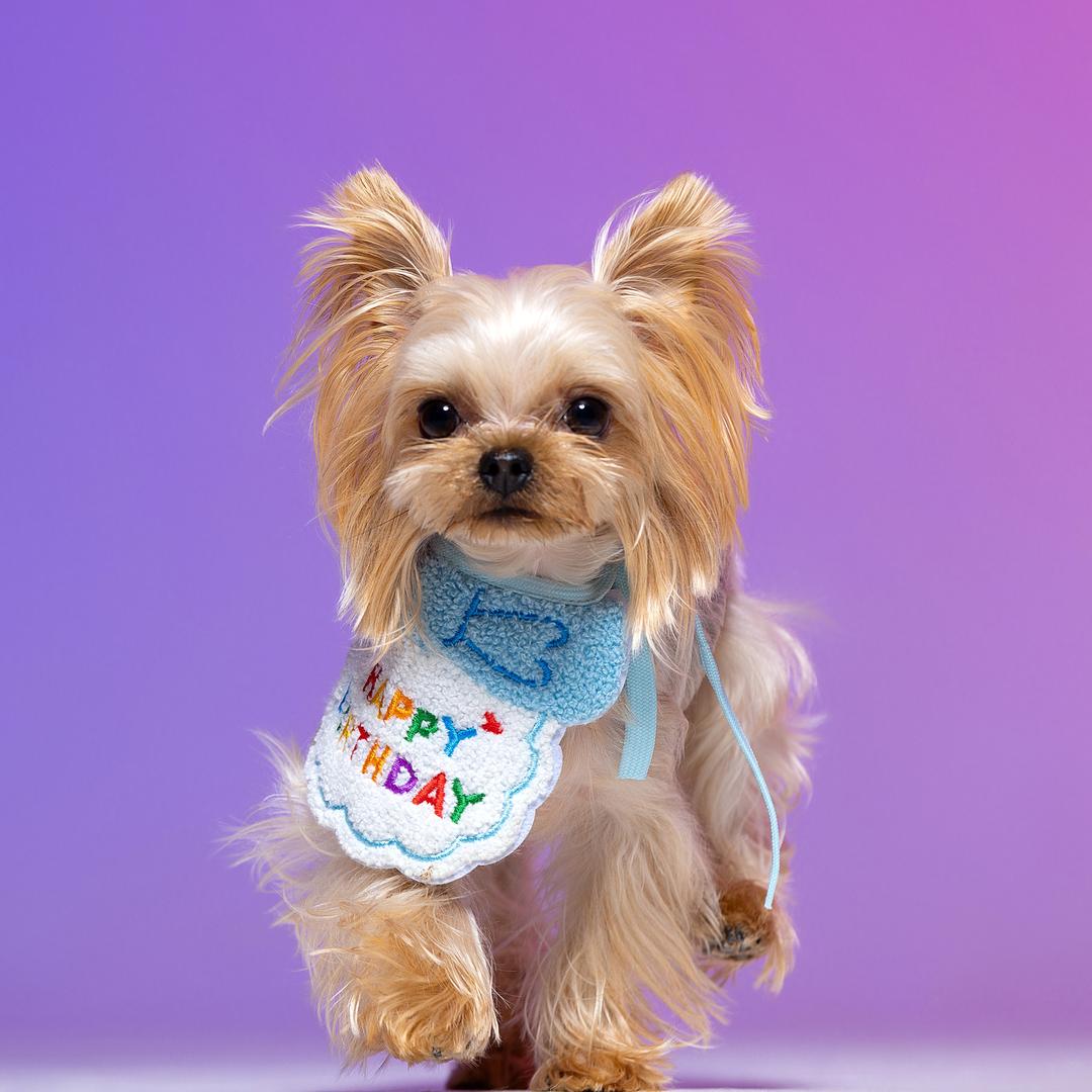 快乐小丫的日记本