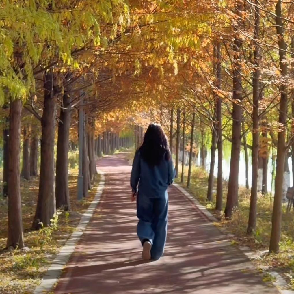 张芳【曳青春】