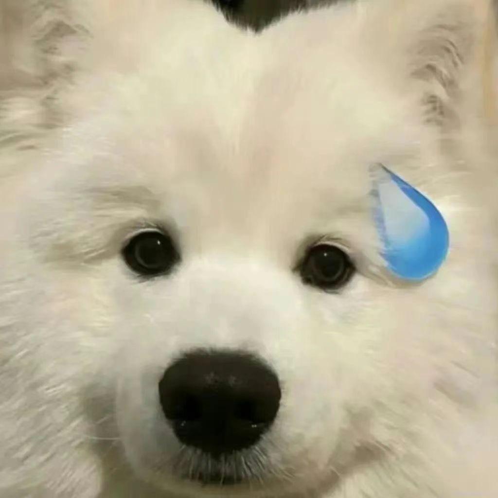 真的服
