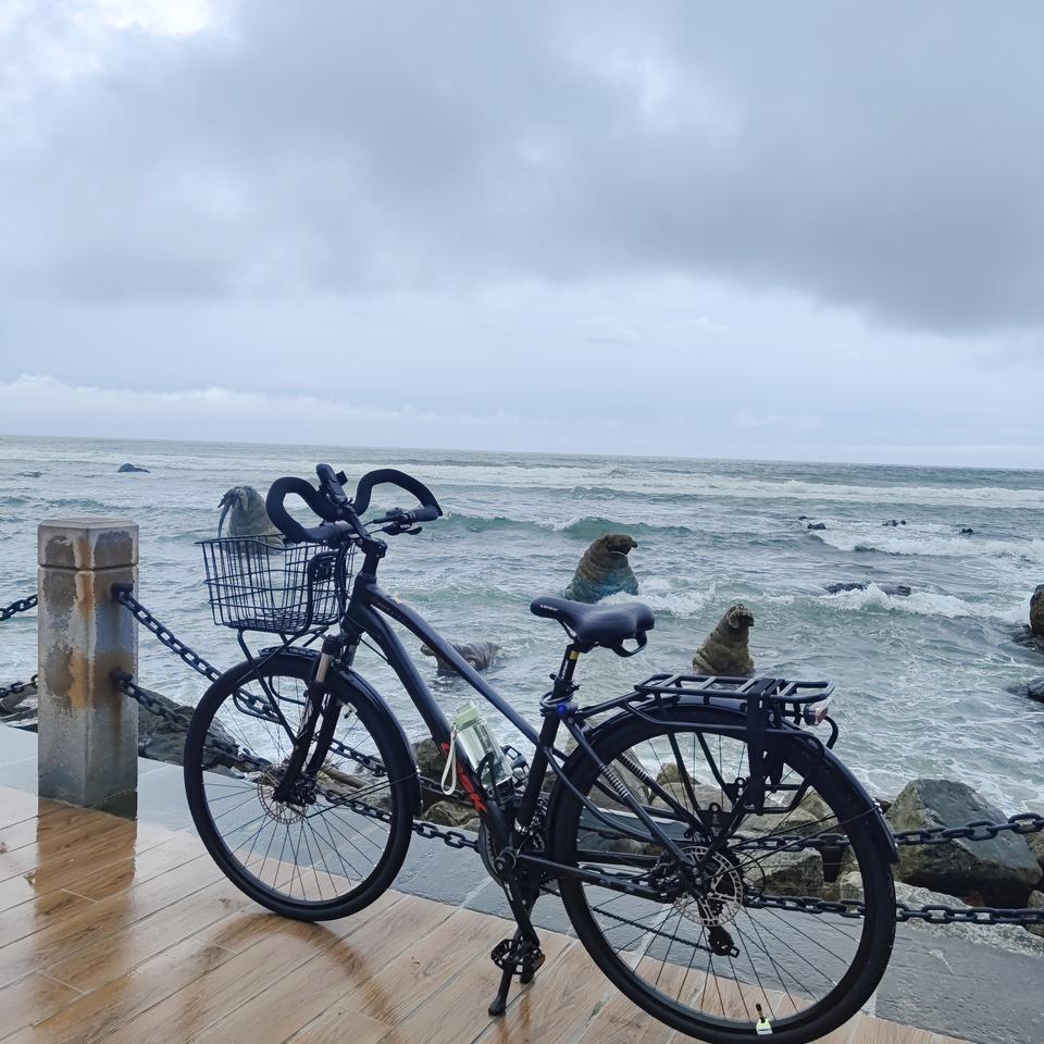 LOSK自行车旗舰店