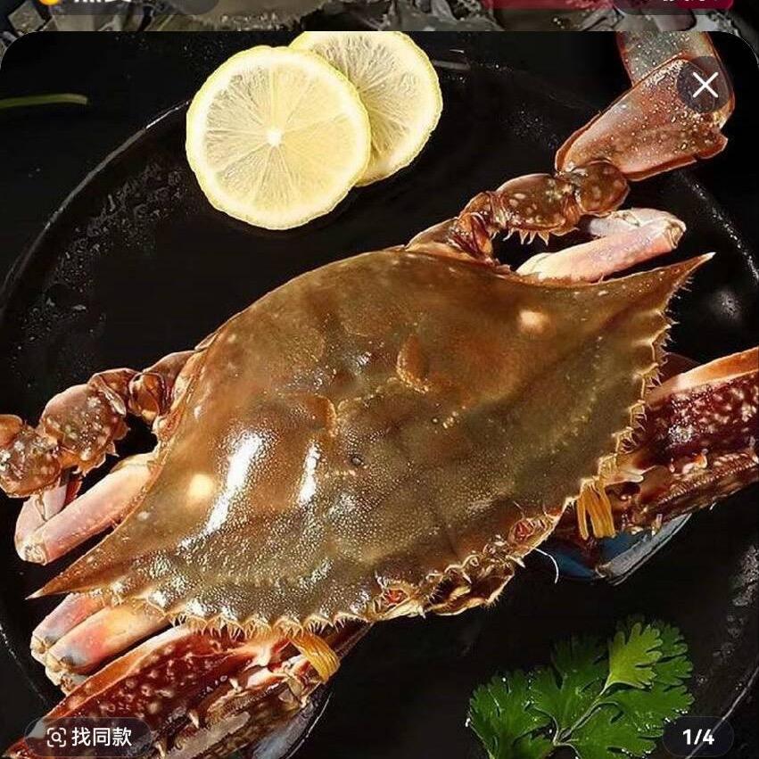 双鲜汇汇生鲜生态养殖