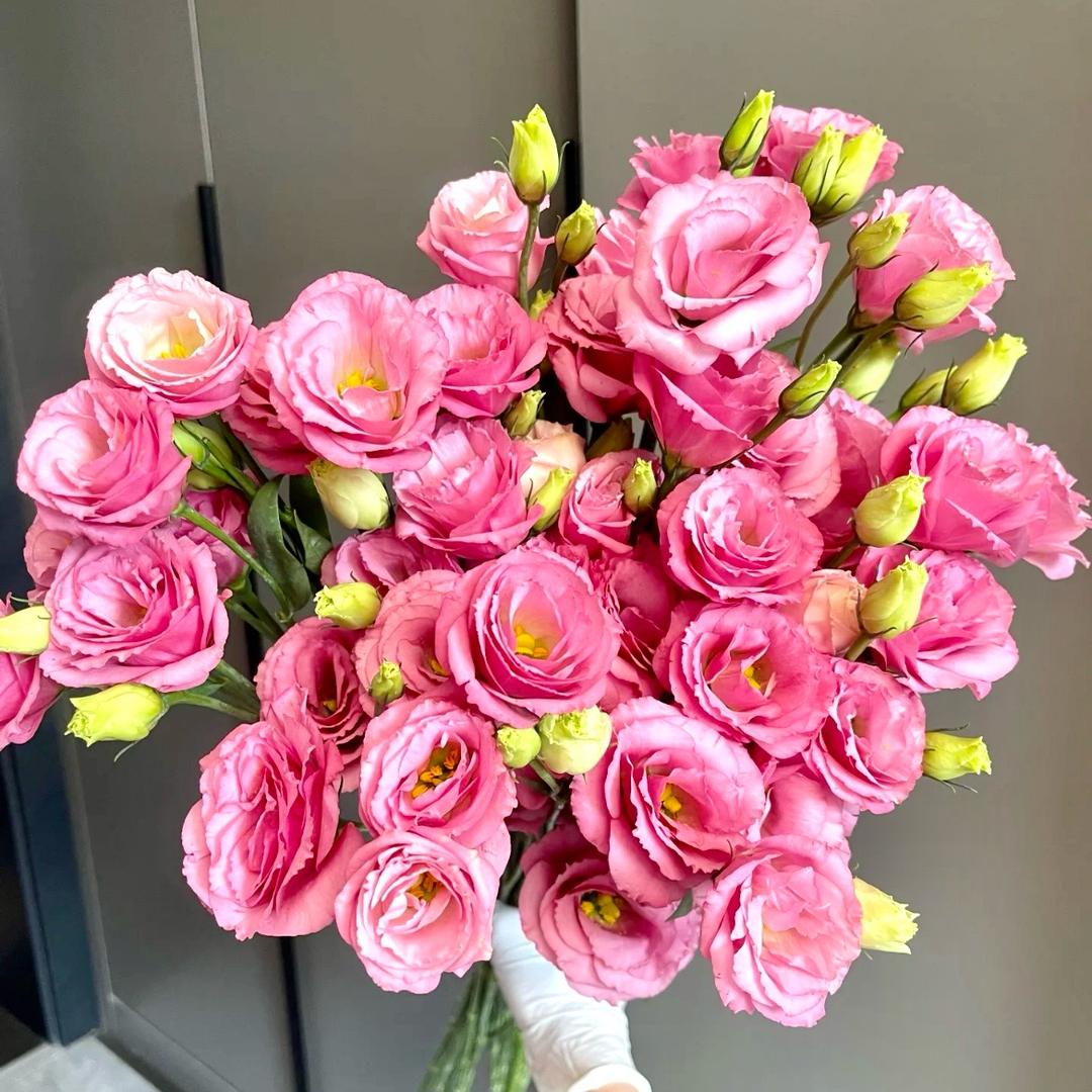 阡陌花田