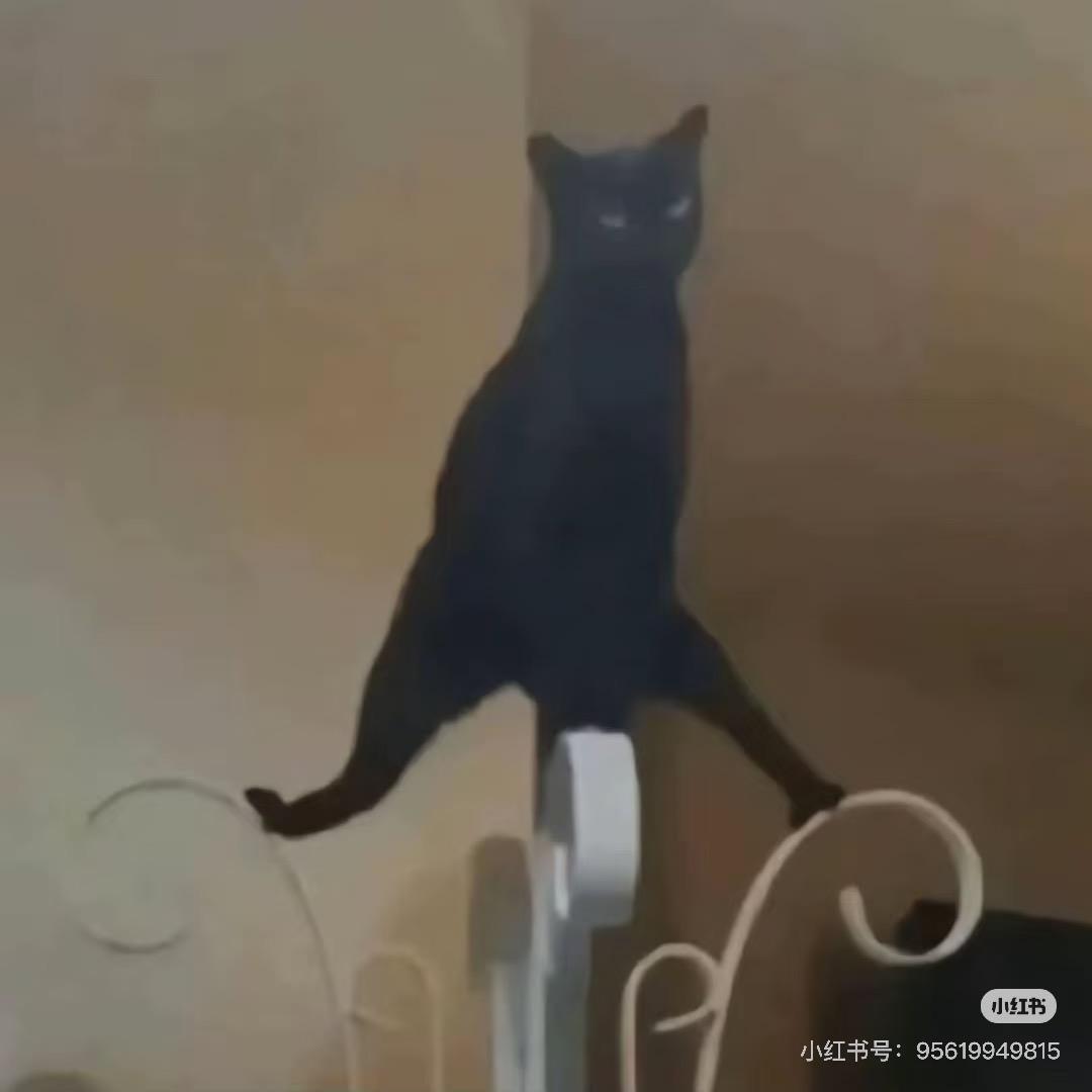 宝宝没烦恼