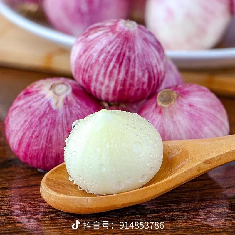 露禾农业［紫皮独头蒜］