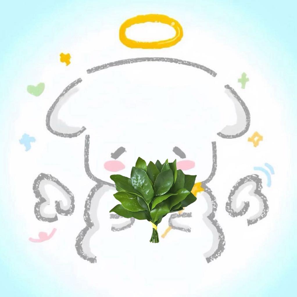 鱼虾ashore