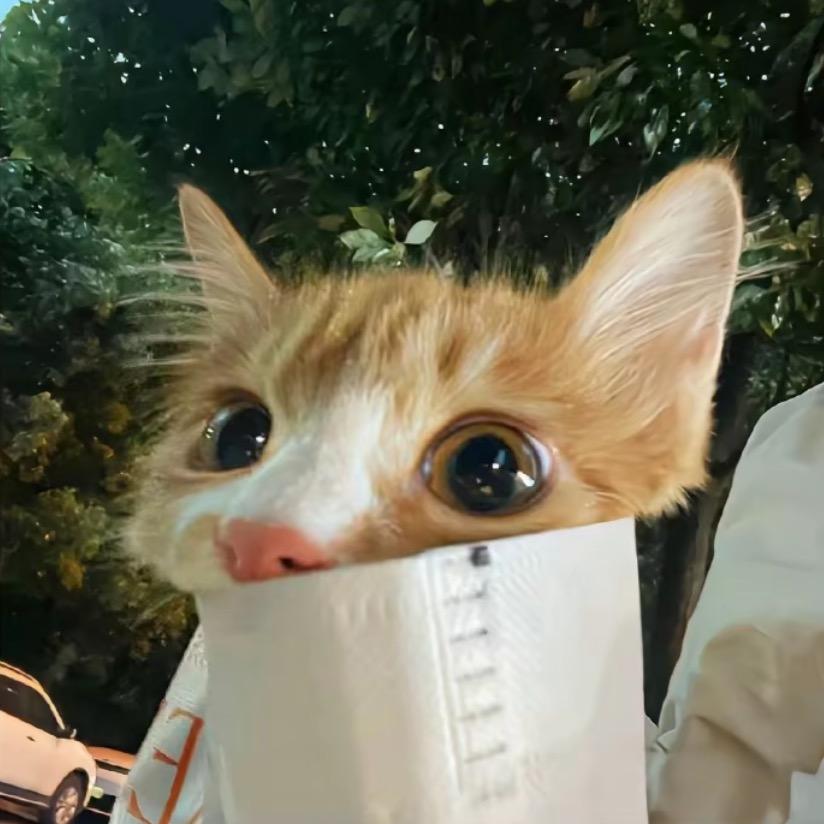 圆