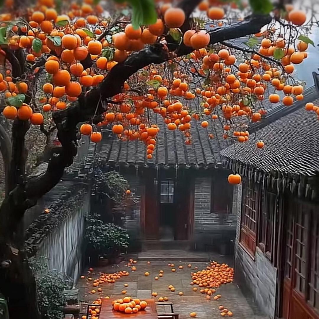 鄂州市旭迪商贸有限公司