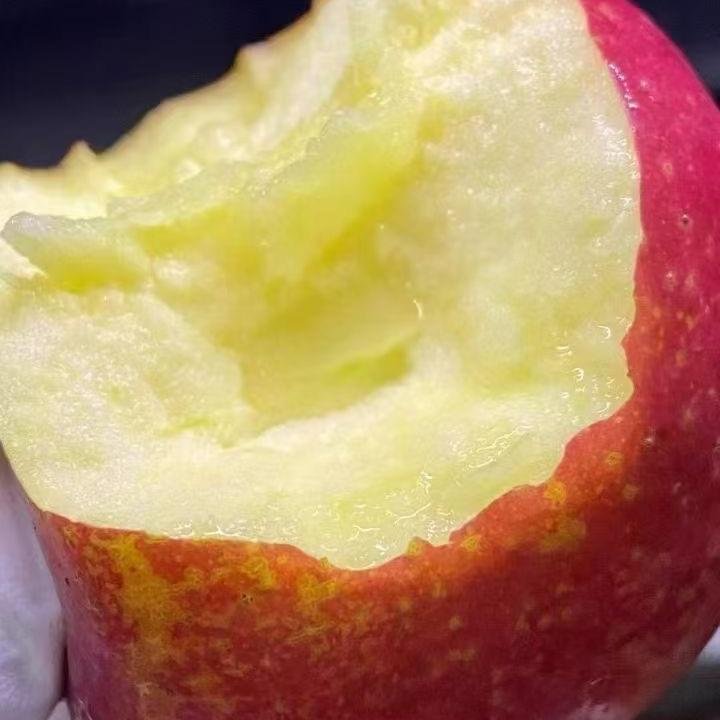 大凉山盐源县丑苹果