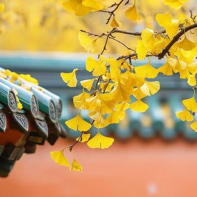 珂尔男装甘谷店