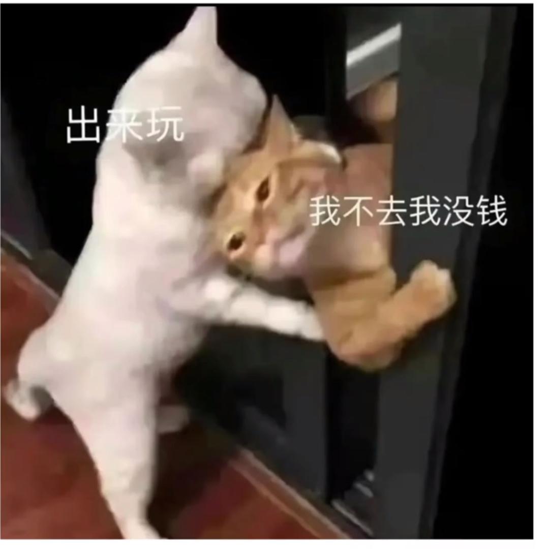 你的赢儿