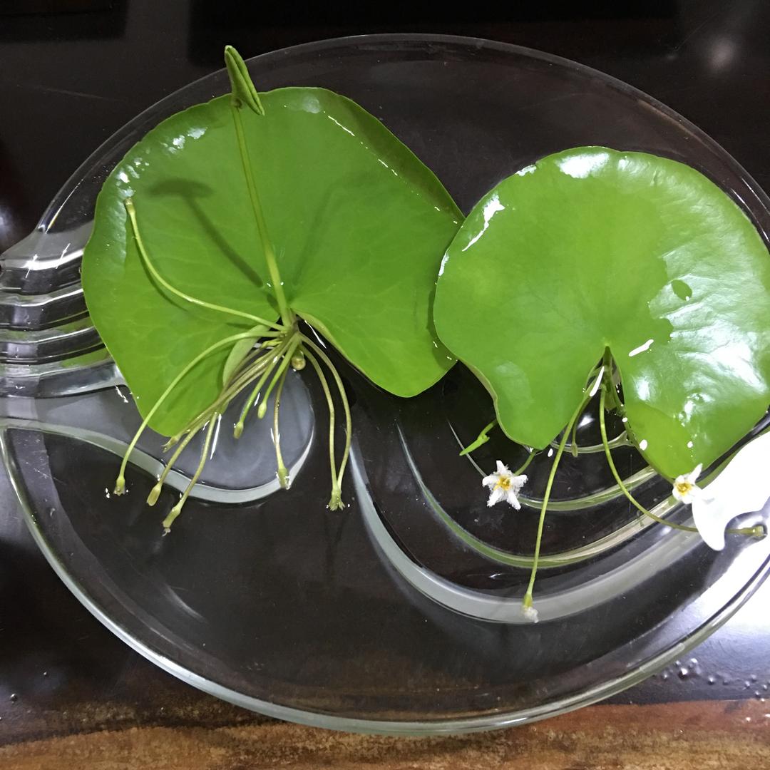 冰林城下（手机摄影）