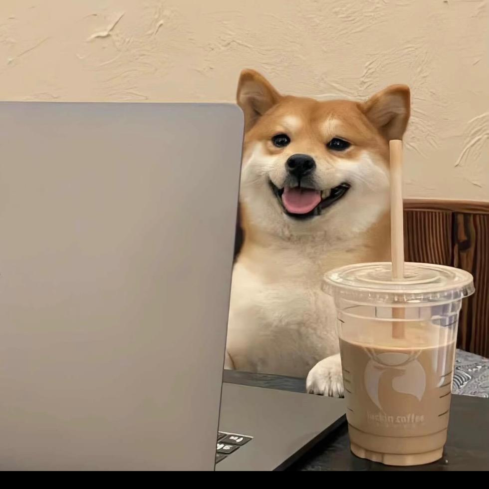 小z..