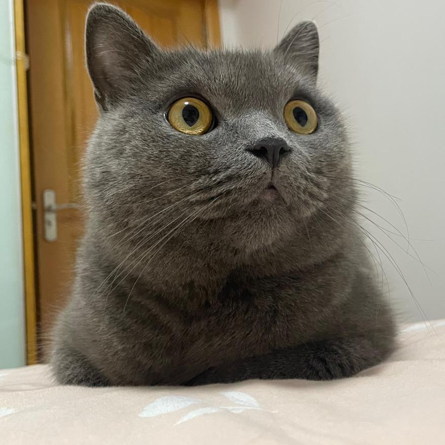李果果