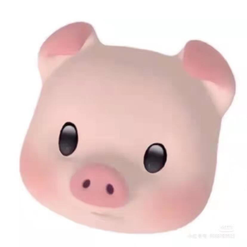 猪猪🐖