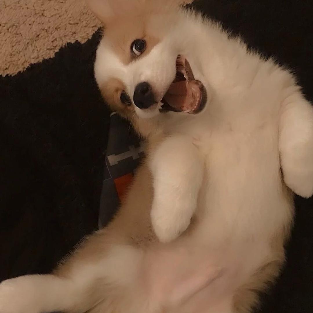 Zzzcr