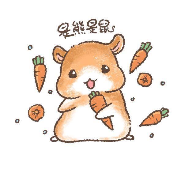是熊是鼠